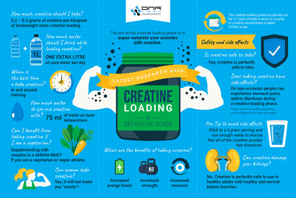 dna lean creatine loading infographic